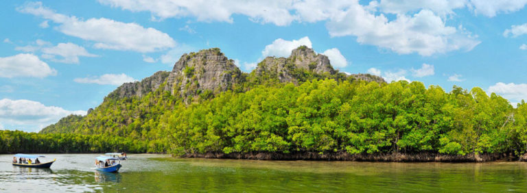 Mangrove Trees With Limestone Rocks In The Background