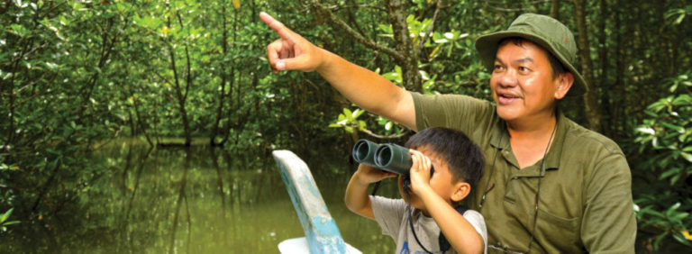 A Boy And A Park Guide