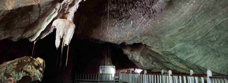 Bats Hanging In Cave Kelawar